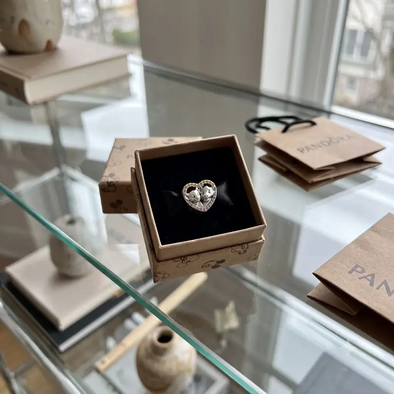Disney, Sparkling Simba & Nala Heart Charm photo review