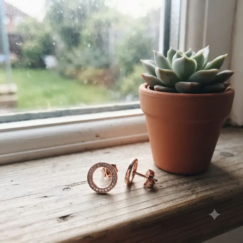 Sparkling Circle Stud Earrings photo review